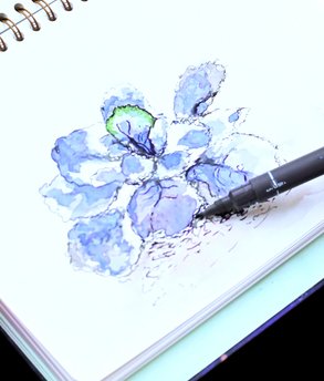 dt_personalWebsite-AdobeStock_1716589871-cropped