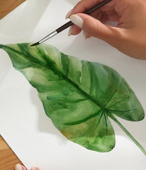 dt_personalWebsite-AdobeStock_433434404-cropped