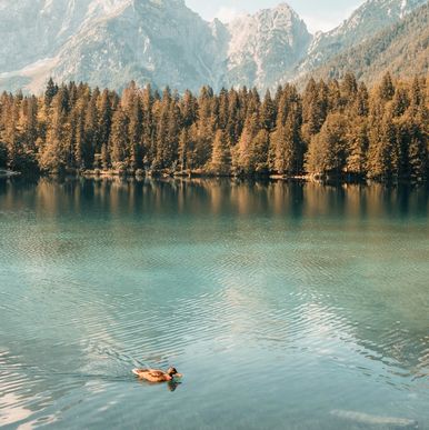 Meisterhafte 3D-Druckkunst zum Staunen
