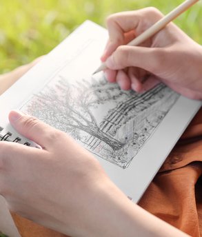 dt_personalWebsite-AdobeStock_462444728-cropped